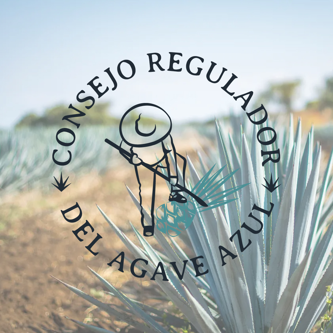 Imagen Responsiva